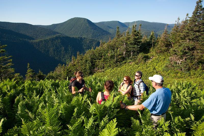 Auberge De Montagne Des Chic-Chocs Cap-Chat Zewnętrze zdjęcie